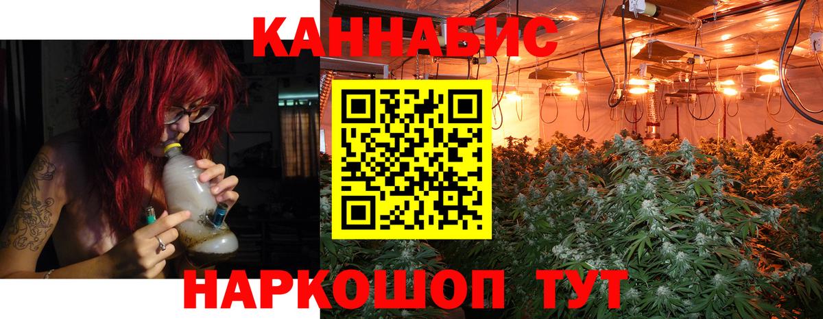 Бошки марихуана планчик  Каннабис Bruce Banner  Бошки Шишки AK-47  Нижнеудинск  Канабис Ganja  Вход с VPN 